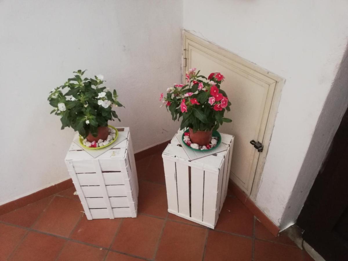 Casa de hóspedes Cappucciniroom 2*